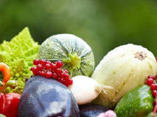 丹江时评|进一步打通特色农产品的销售通道