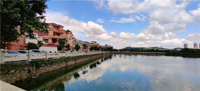 鱼塘坐落在长乔村，古树与之相映，村居傍水而立，景色优美。戴惠甜 摄
