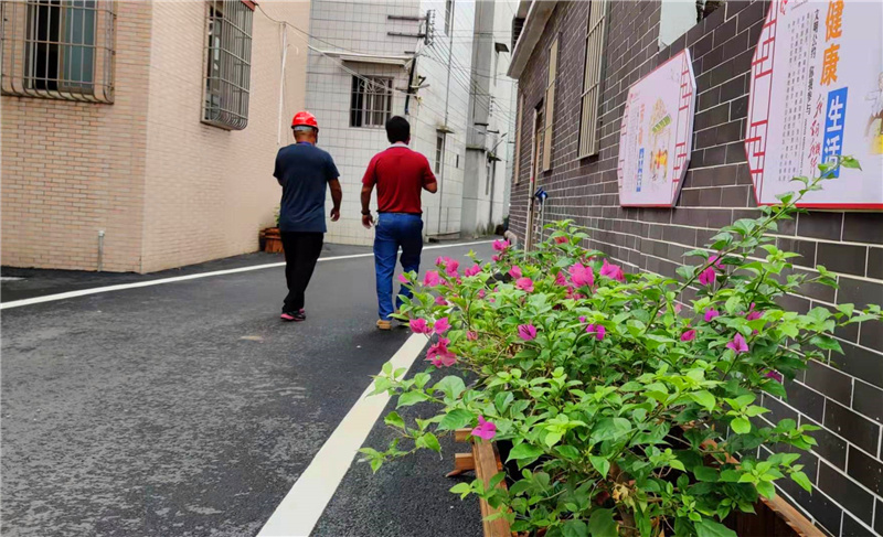 塘边社区卢湾村村道整洁干净。戴惠甜 摄