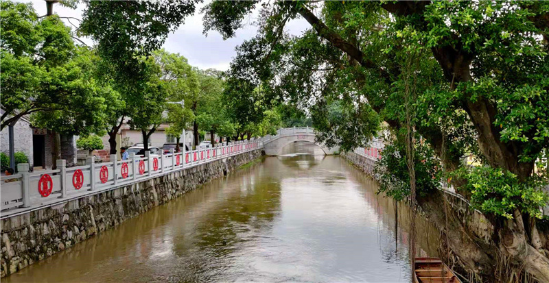 潮连街塘边社区将打造“绿岛水乡”精品特色示范村。戴惠甜 摄