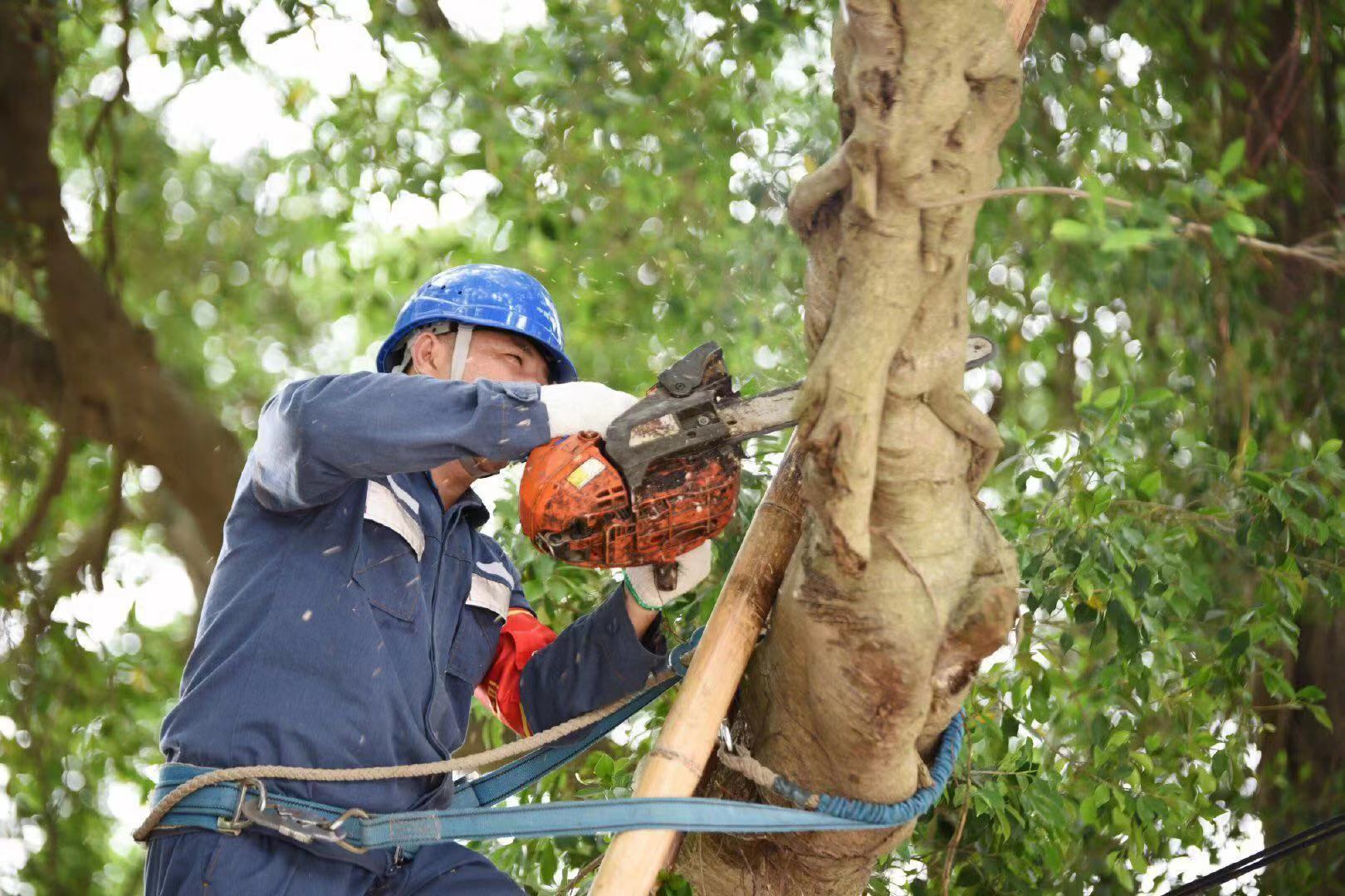 汕头供电局组织人员开展线路特巡特维,查线路,清树障。 汕头供电局组织人员开展线路特巡特维,查线路,清树障。