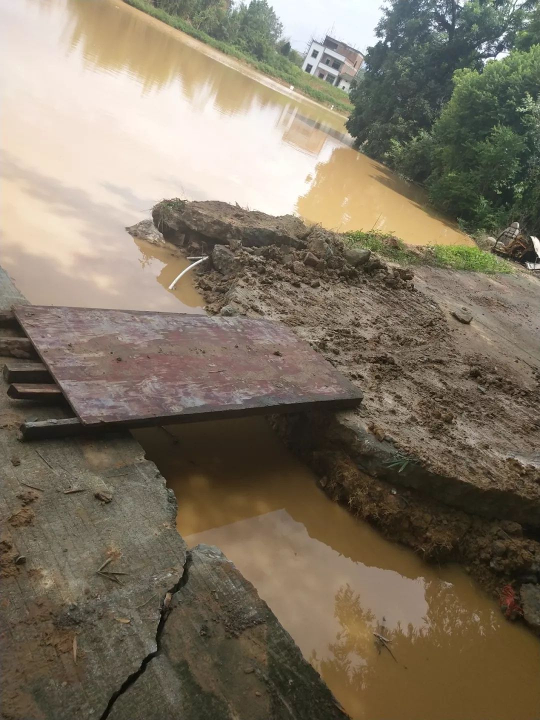 蓝塘镇百罗村上车小组山塘开渠排水后,水位已经下降。 蓝塘镇百罗村上车小组山塘开渠排水后,水位已经下降。