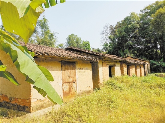 同和客家村的泥砖屋与婆娑的绿树相映，成为独特的风景。