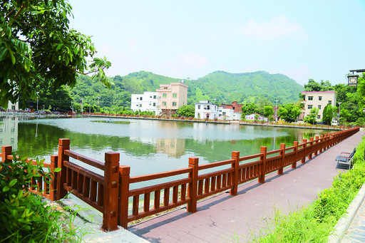 新农村建设见成效,德庆这个落后山村三年打了场漂亮"翻身仗"