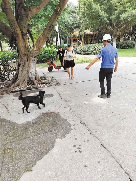 工作人员在劝导市民牵狗绳。 工作人员在劝导市民牵狗绳。