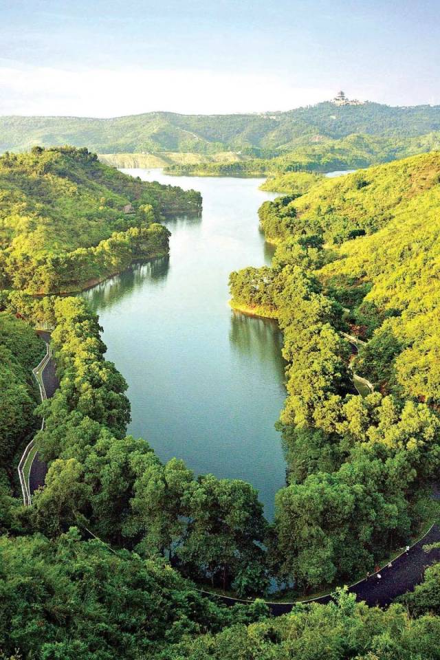 绿绿绿 这样的惠州 美到极致