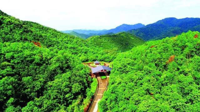 满屏翠绿的梁化国家森林公园.