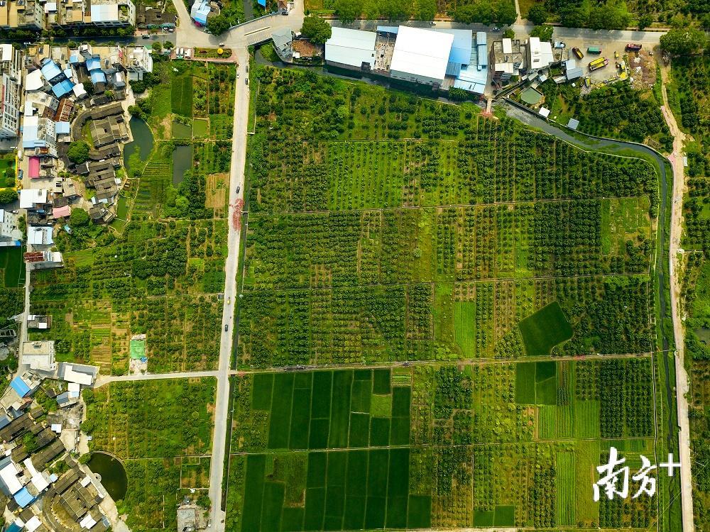 俯瞰石扇，绿意盎然。