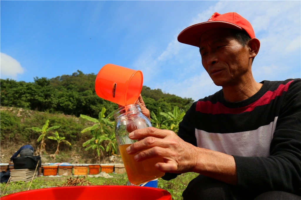 特色農業約佔總產值86%位於澄海區溪南鎮南社區的金港灣葡萄基地,是