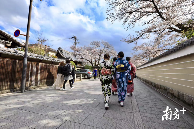 日本的城市街道地面干净整洁,与蓝天交相辉映。 日本的城市街道地面干净整洁,与蓝天交相辉映。