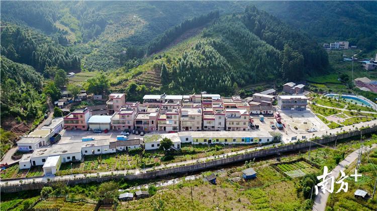何皮村奋力探索全域蜕变美丽乡村的新路径，成为杨梅镇整村推进美丽乡村的鲜活样板。