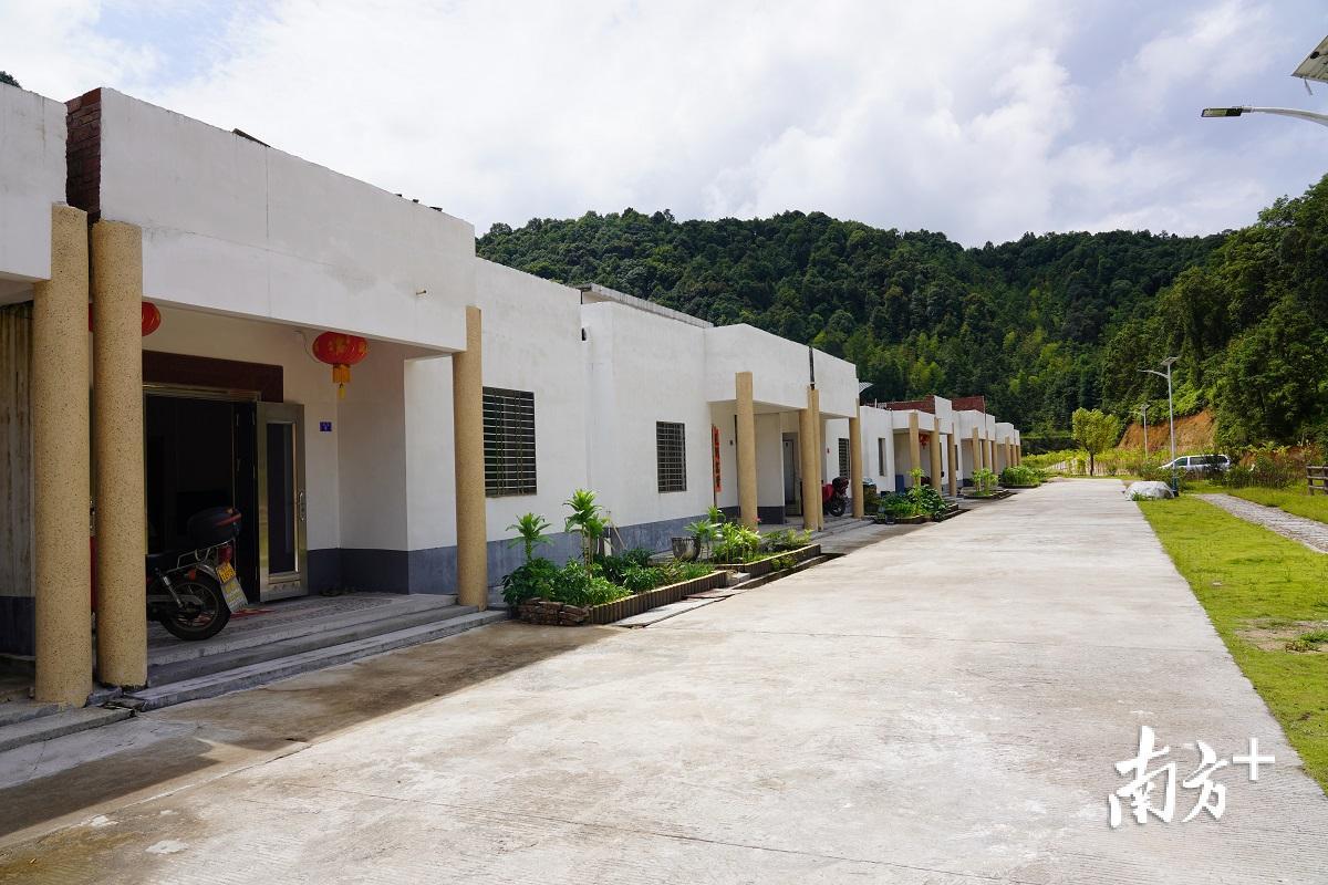 统一规划建设的上举镇八社村虎踞村民小组。（林立康 摄）