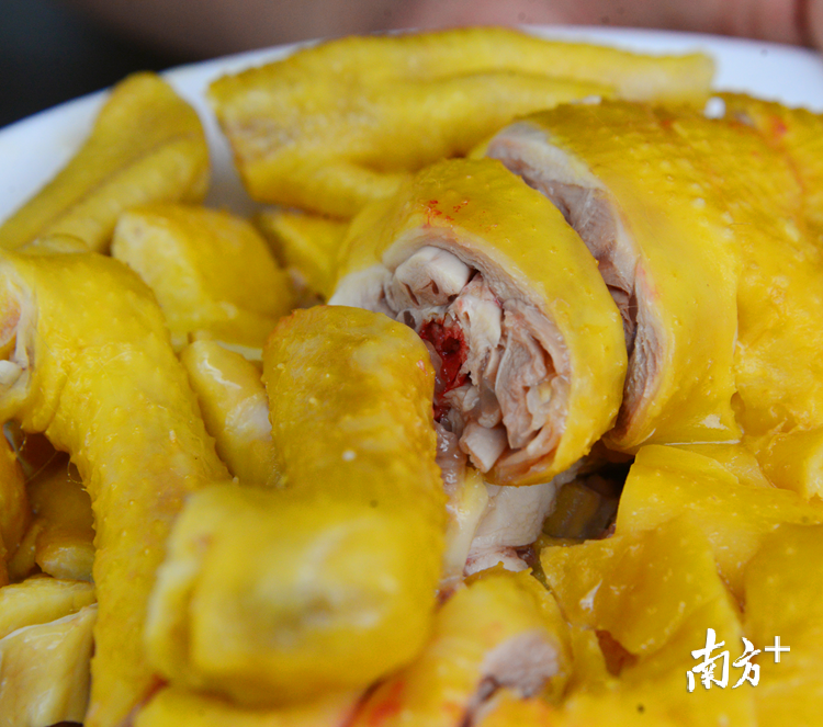连州灵芝鸡肉质爽嫩滑，鸡味特别浓郁。黄津 摄