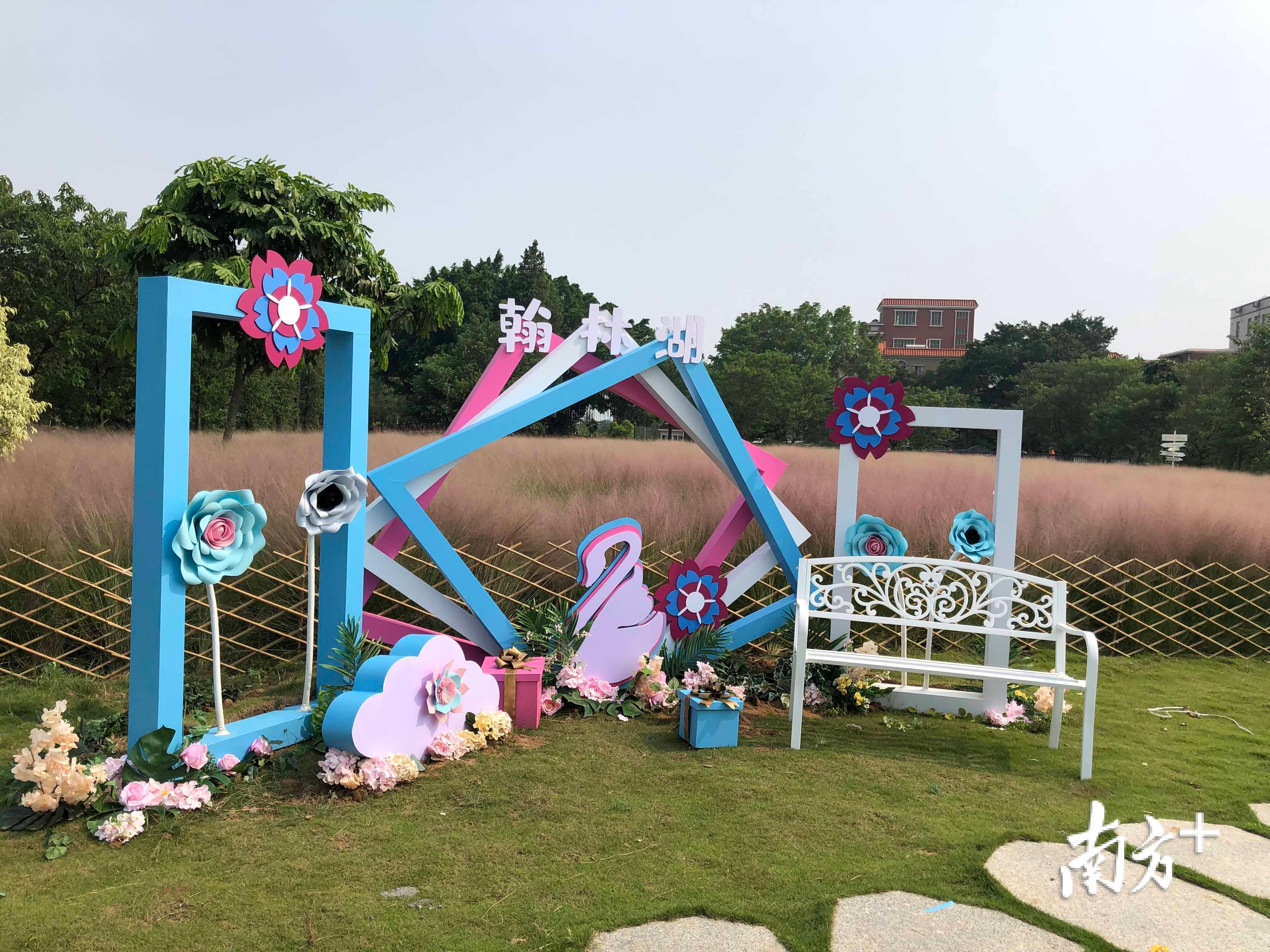 粉黛草园内已经摆放了不少ins风的打卡拍照道具。丹灶有为创展公司供图 粉黛草园内已经摆放了不少ins风的打卡拍照道具。丹灶有为创展公司供图