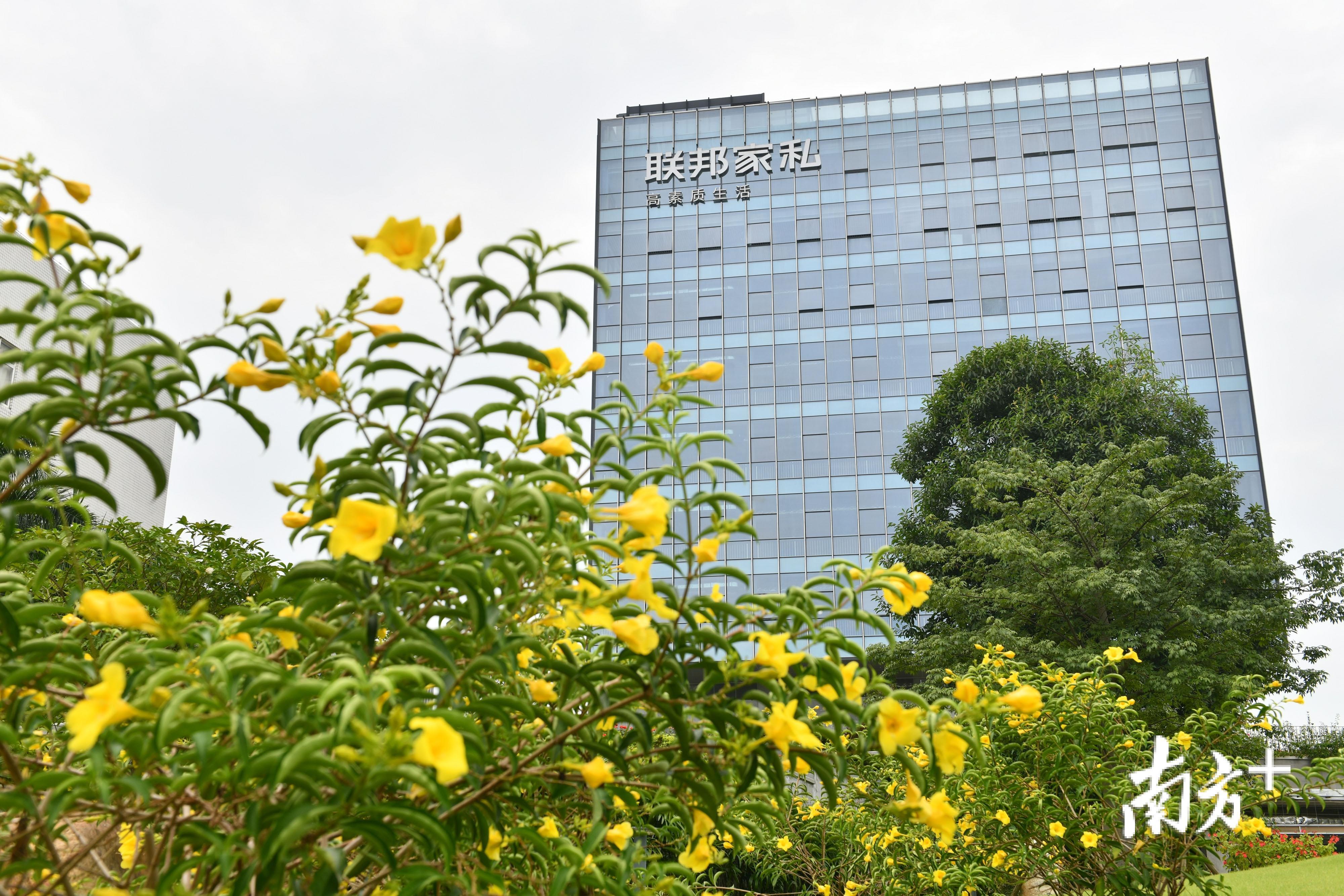 联邦家私新总部大楼外观。戴嘉信 摄