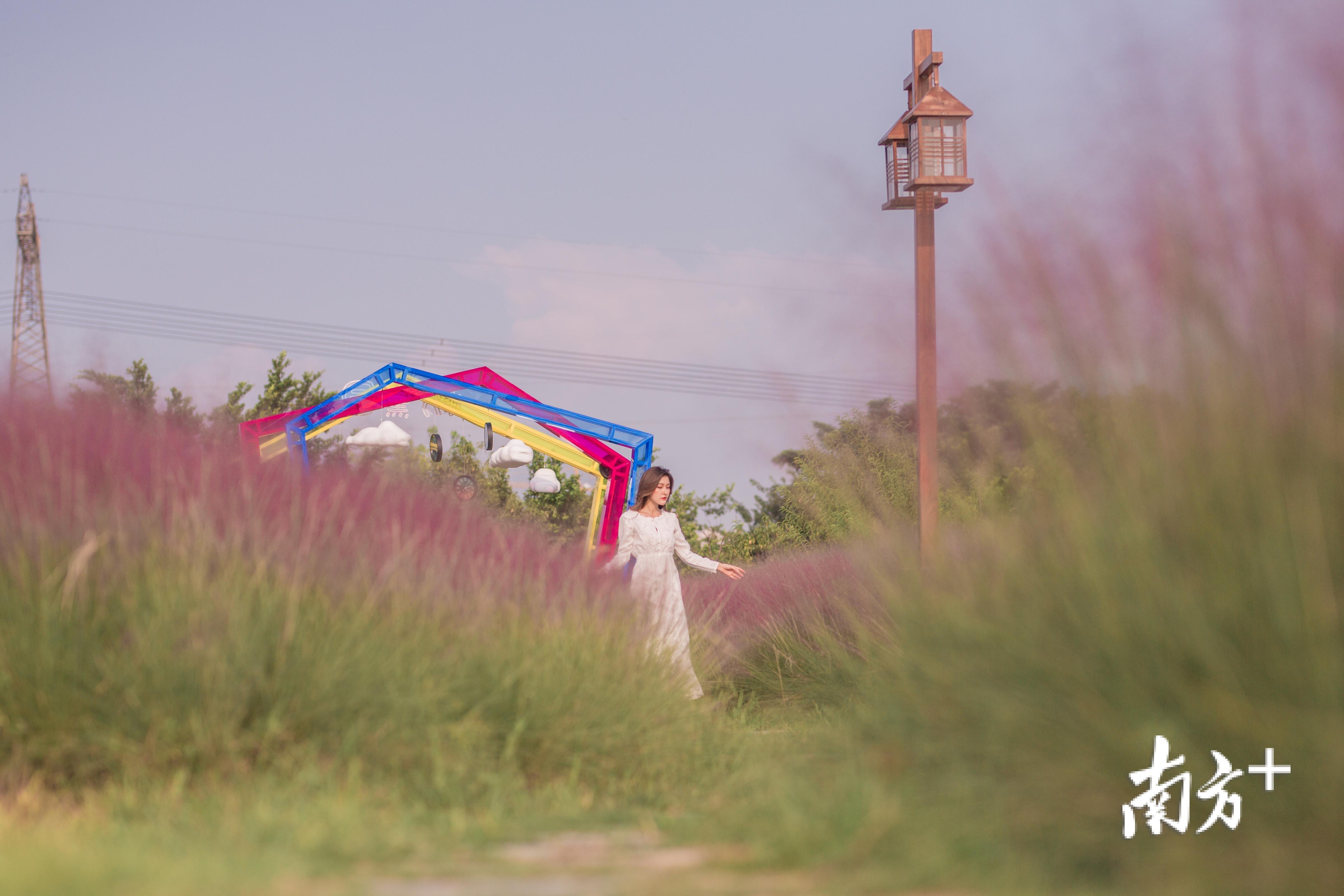 作为佛山市和广东省“首批农业公园”,翰林湖农业公园可谓名副其实的“网红打卡地”。丹灶有为创展公司供图 作为佛山市和广东省“首批农业公园”,翰林湖农业公园可谓名副其实的“网红打卡地”。丹灶有为创展公司供图