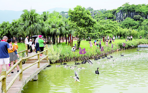 市民遊客在星湖溼地公園一邊遊覽玩耍,一邊觀看萬鳥放飛.