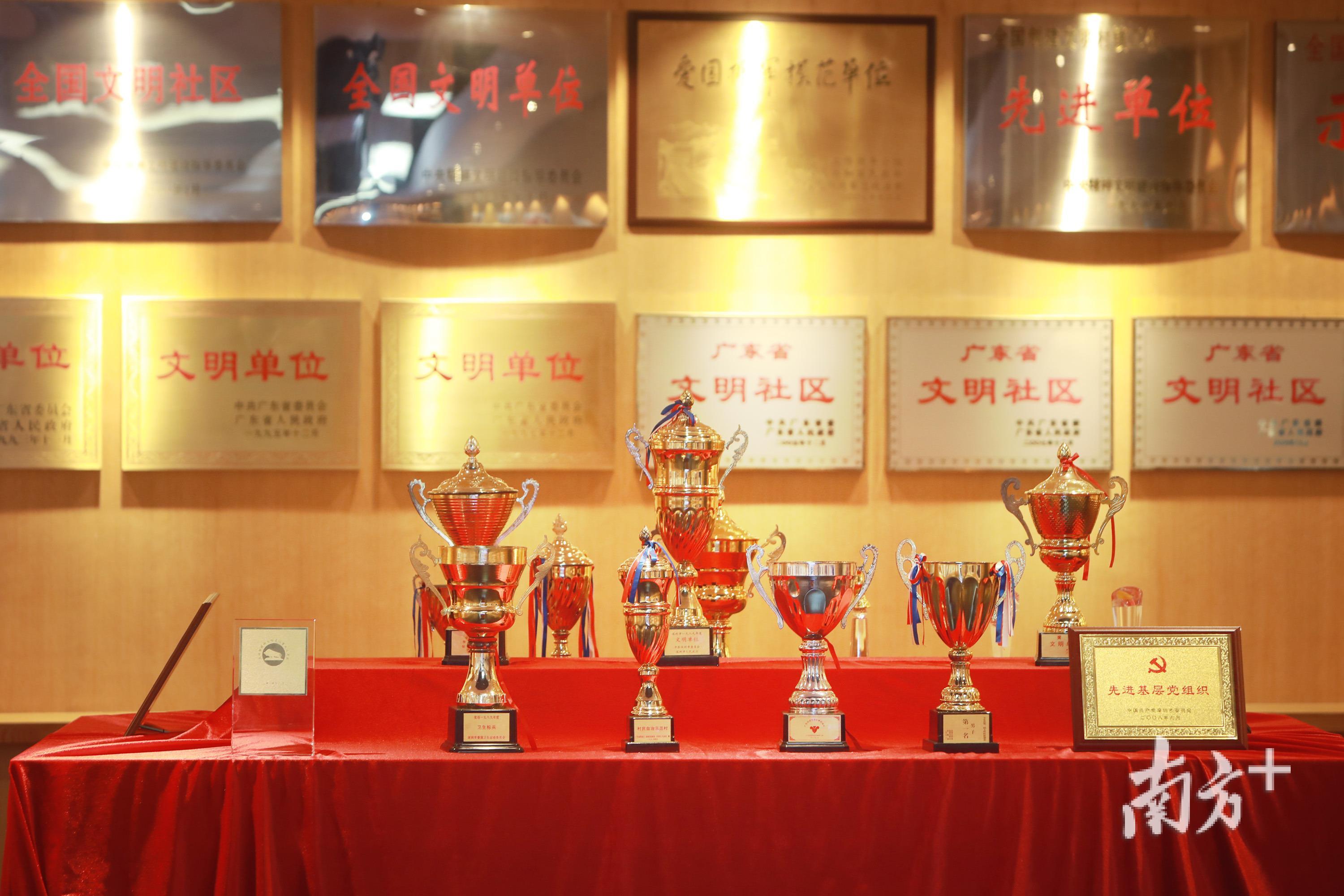 南岭村村史馆内展示的荣誉奖章。