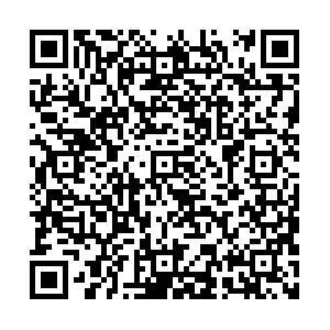 广东名茶排行榜_2021年广东十大茗茶公布,河源6款茶入选!