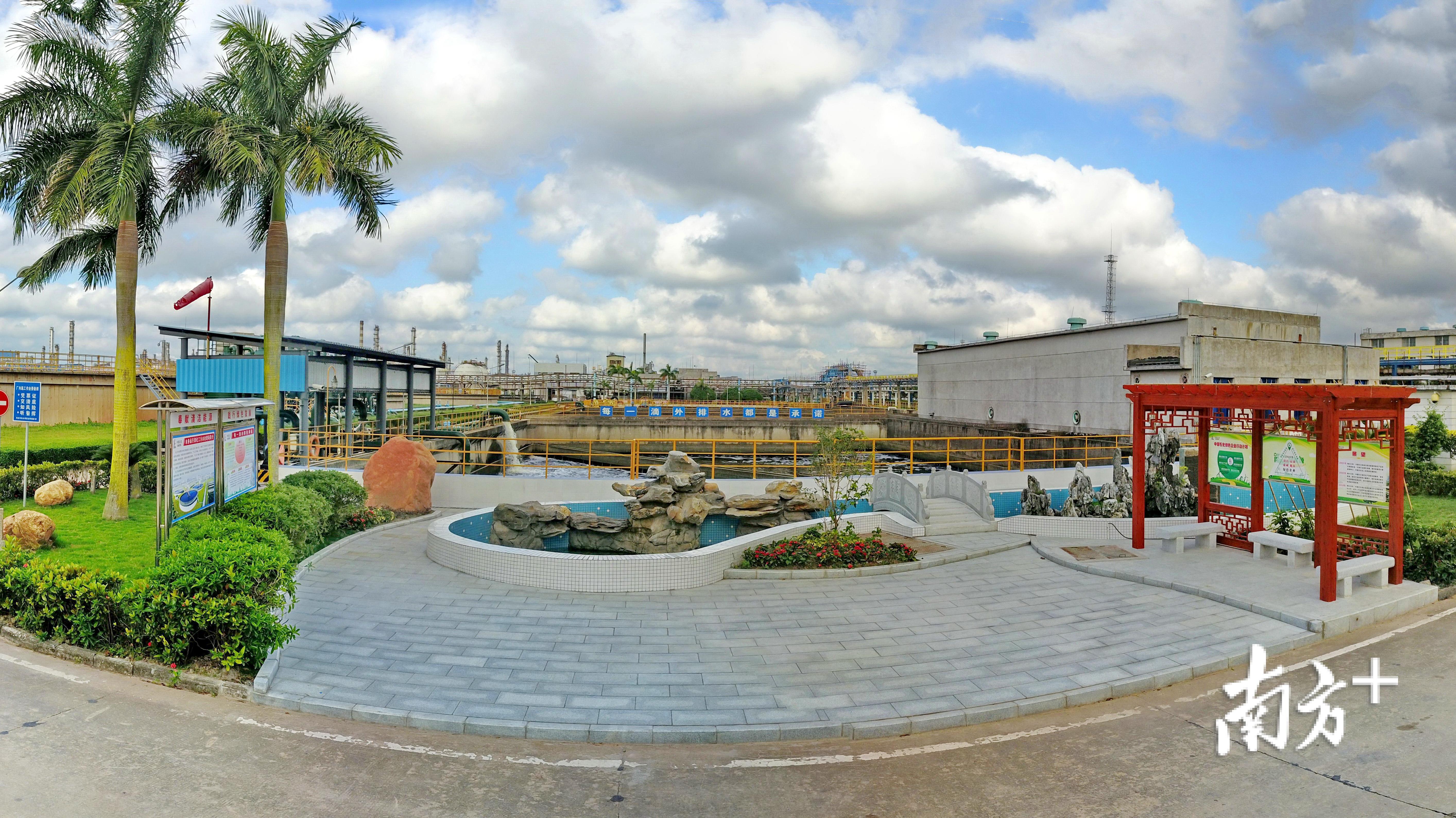 茂名石化优美的净化水装置。柯裕清 摄