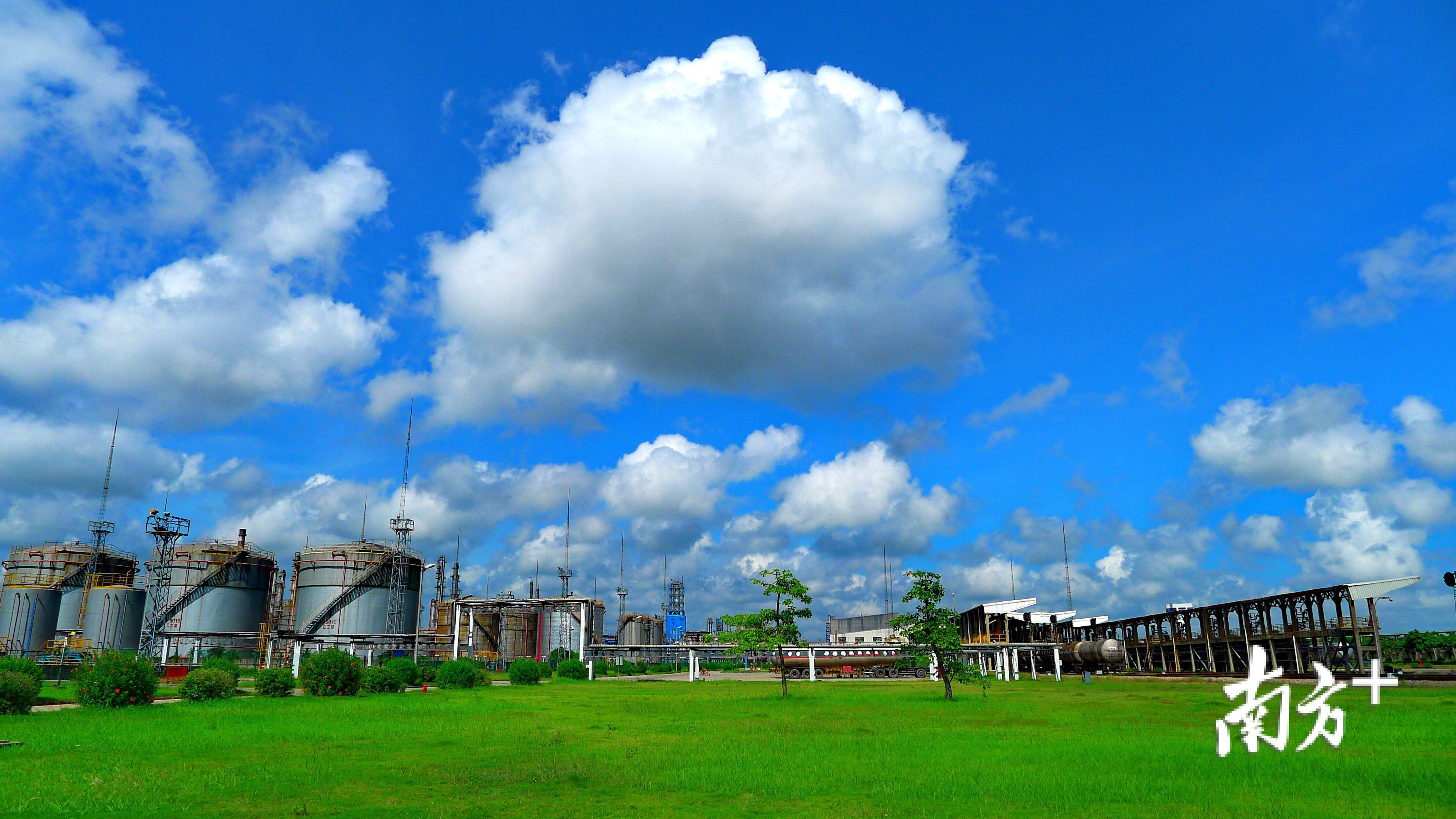 蓝天白云绿色罐区。柯裕清 摄影