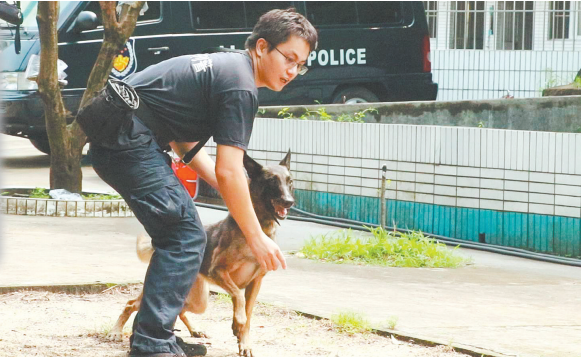 陈荣伟正在对克拉进行基础训练。