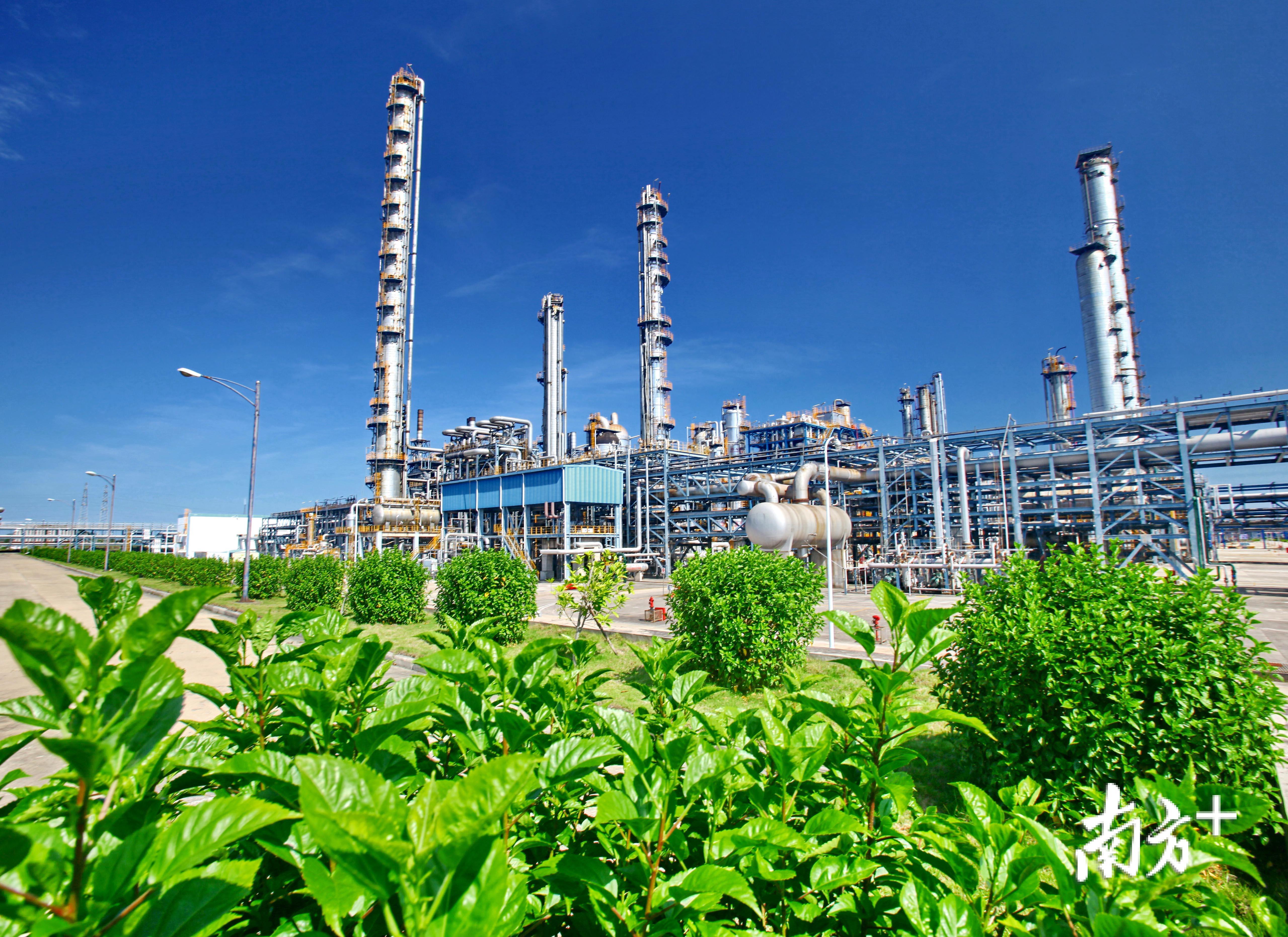 绿色茂名石化。柯裕清 摄