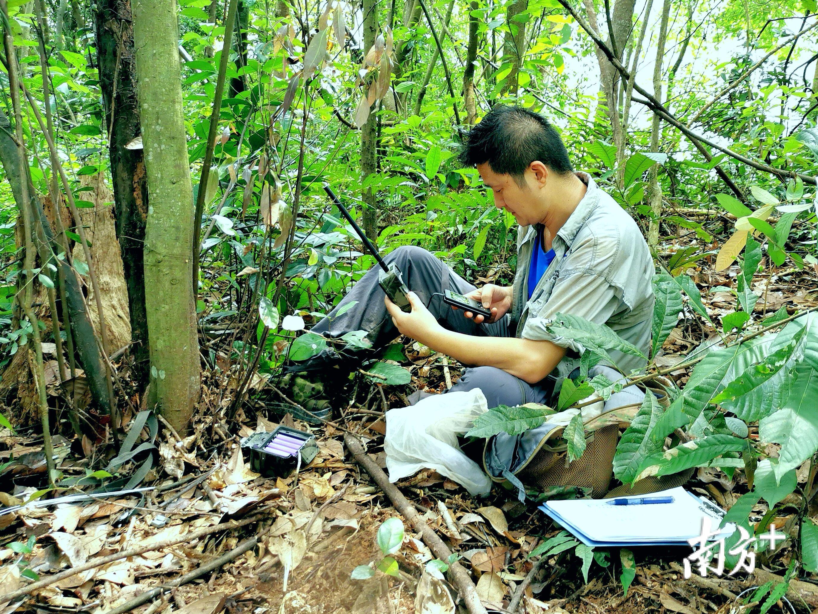 束祖飞获国家保护森林和野生动植物资源先进个人称号