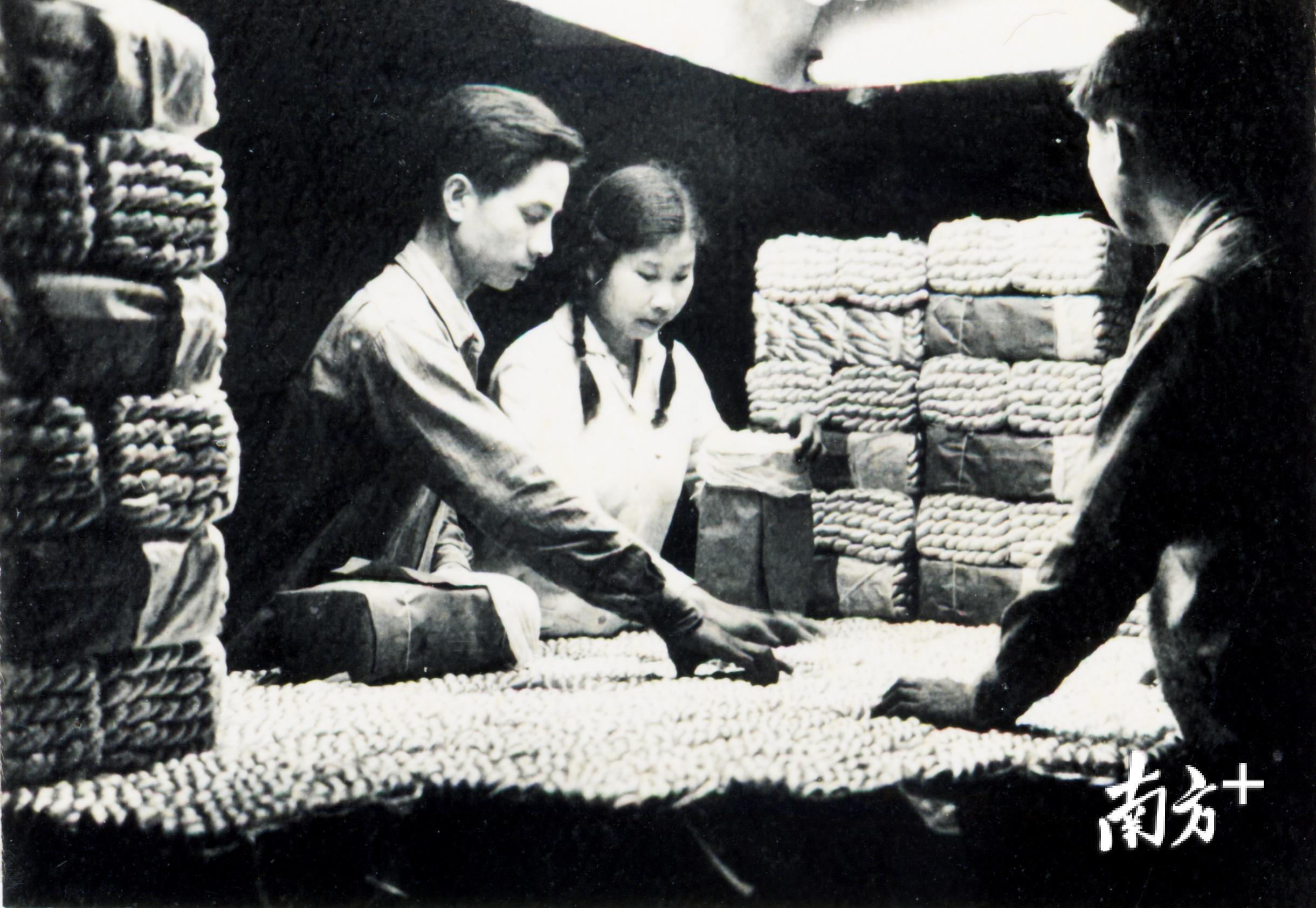 1954年2月8日，全省首家大型现代化高级生丝示范厂——国营顺德丝厂在容桂建成。顺德档案馆供图