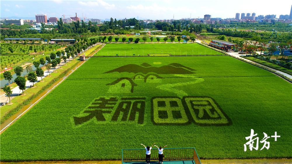 美丽田园总部图片