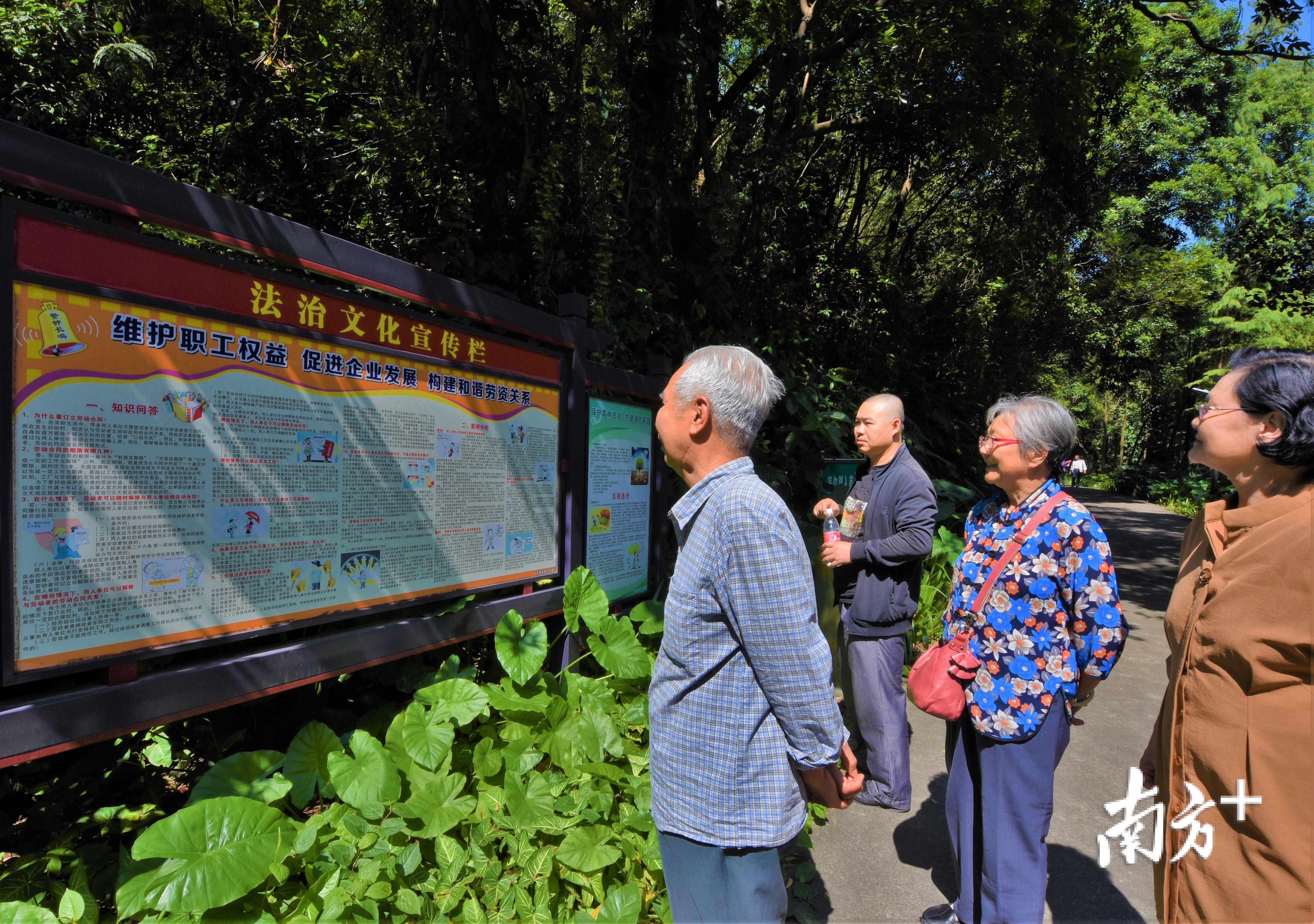 白水带公园绿道上的法治文化宣传栏，吸引过路市民驻足观看。杨兴乐 摄