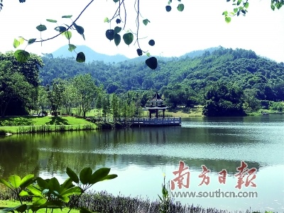 龙潭湖是新兴禅意之旅的颜值担当。冯凯思 摄