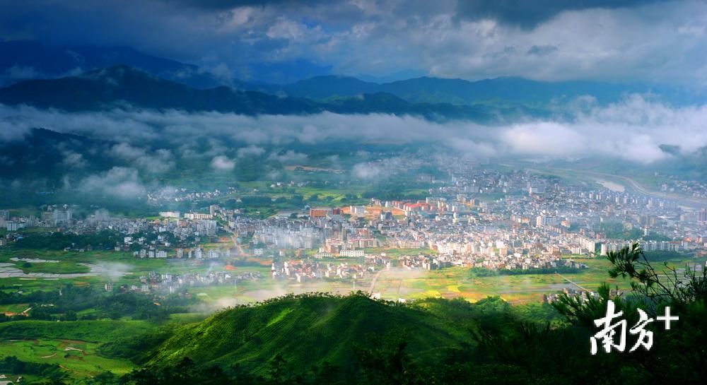 赏梅花泡氧吧品好茶来陆河感受这条广东美丽乡村精品线路