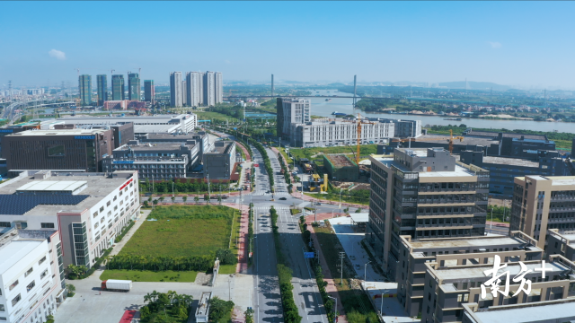 顺德高新区打造功能齐备、产业创新、宜居宜业的现代化产业新城。中交城投顺德公司供图