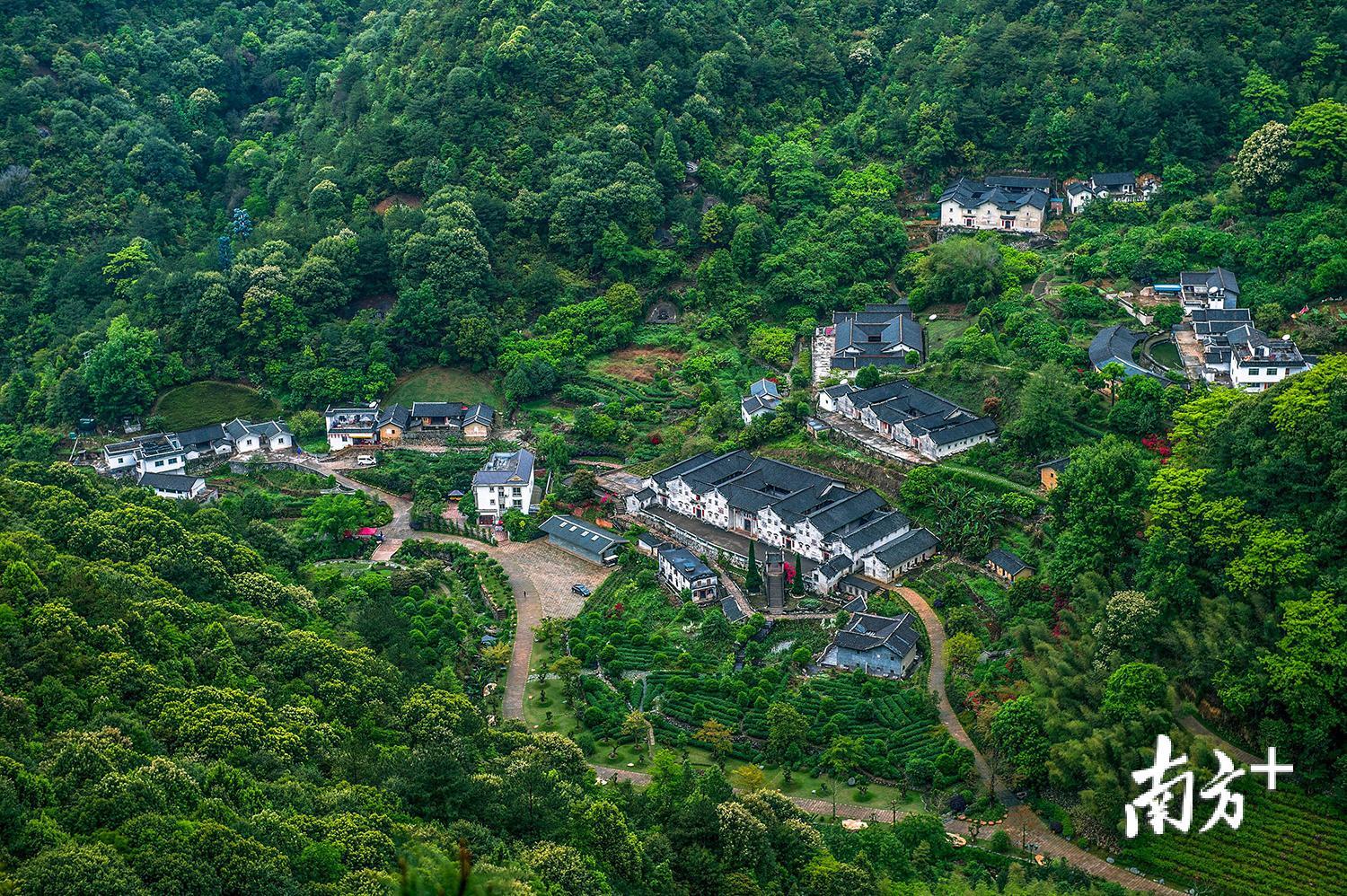 梅县区雁洋镇桥溪村.(南方日报记者 何森垚 摄)