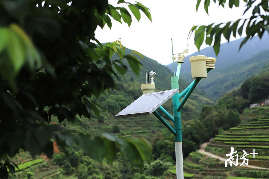 潮安凤凰单丛茶省级现代农业产业园的农眼智能监测管理系统，通过手机可查看茶园的相关数据。