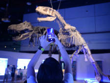 国庆看展|这27个博物馆展览，总有一个适合你