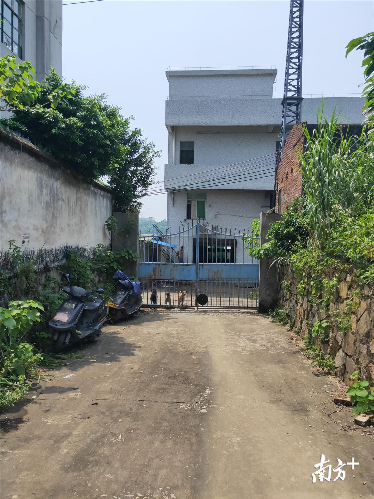 即将被整合的石碣镇水南水厂