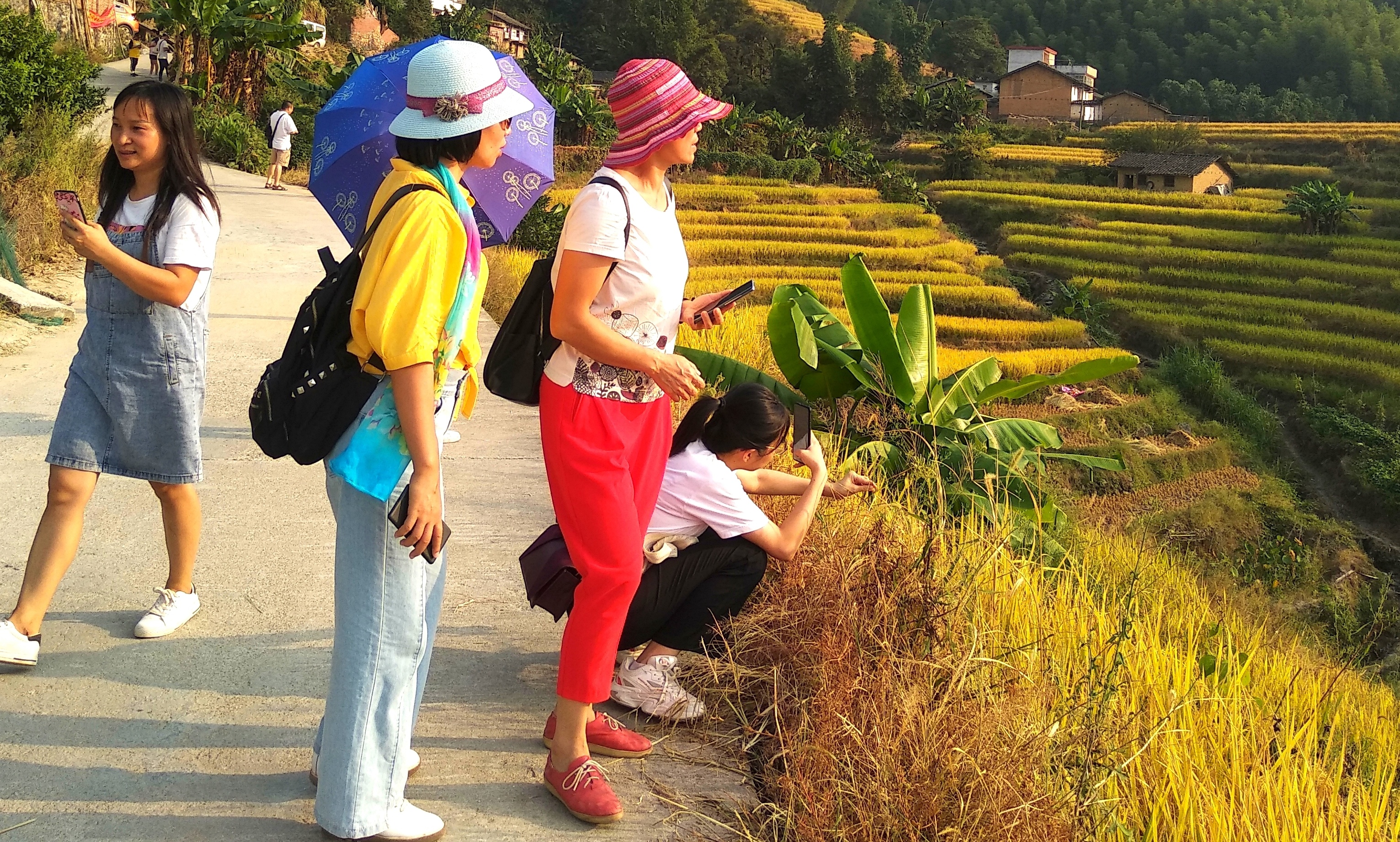 观光游客兴致盎然。扶溪镇供图 观光游客兴致盎然。扶溪镇供图