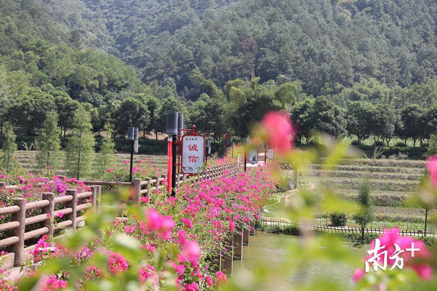 南山森林公园。李嘉怡 摄 南山森林公园。李嘉怡 摄