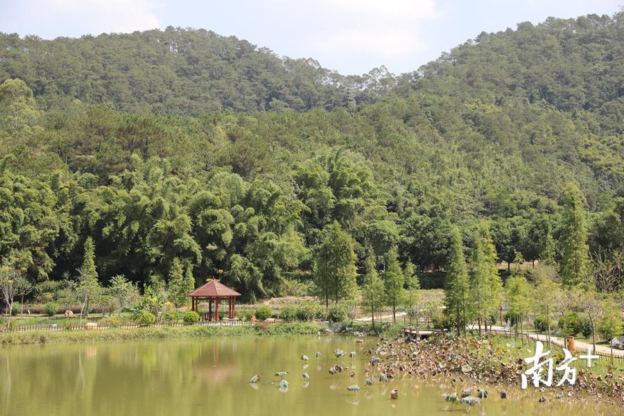 南山森林公园。李嘉怡摄 南山森林公园。李嘉怡摄