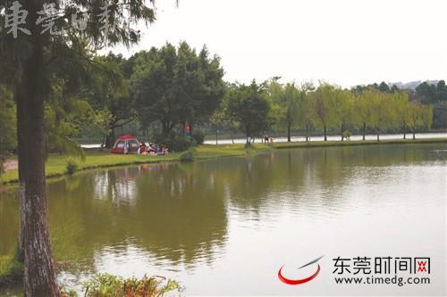 道滘北岛公园,市民搭帐篷游玩 道滘北岛公园,市民搭帐篷游玩