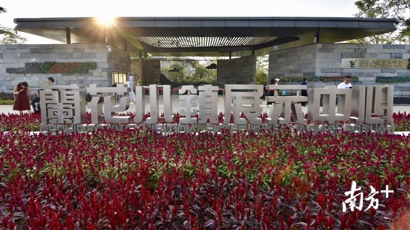 兰花特色小镇标识（林卓青 摄）