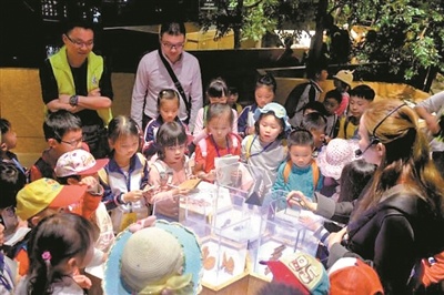 中国沉香文化博物馆每年都吸引不少学生和游客前来参观学习。 中国沉香文化博物馆每年都吸引不少学生和游客前来参观学习。