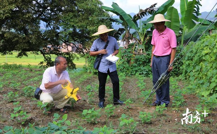 陆耀玖在进行征地协调工作。 陆耀玖在进行征地协调工作。