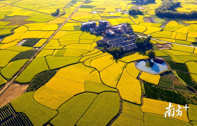 粤北粮仓始兴秋景。邓斌 摄 粤北粮仓始兴秋景。邓斌 摄