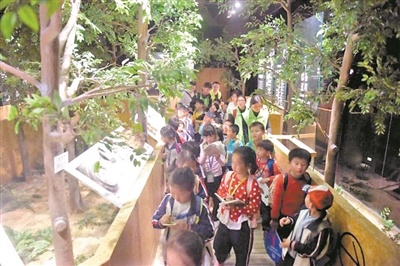 中国沉香文化博物馆每年都吸引不少学生和游客前来参观学习。 中国沉香文化博物馆每年都吸引不少学生和游客前来参观学习。