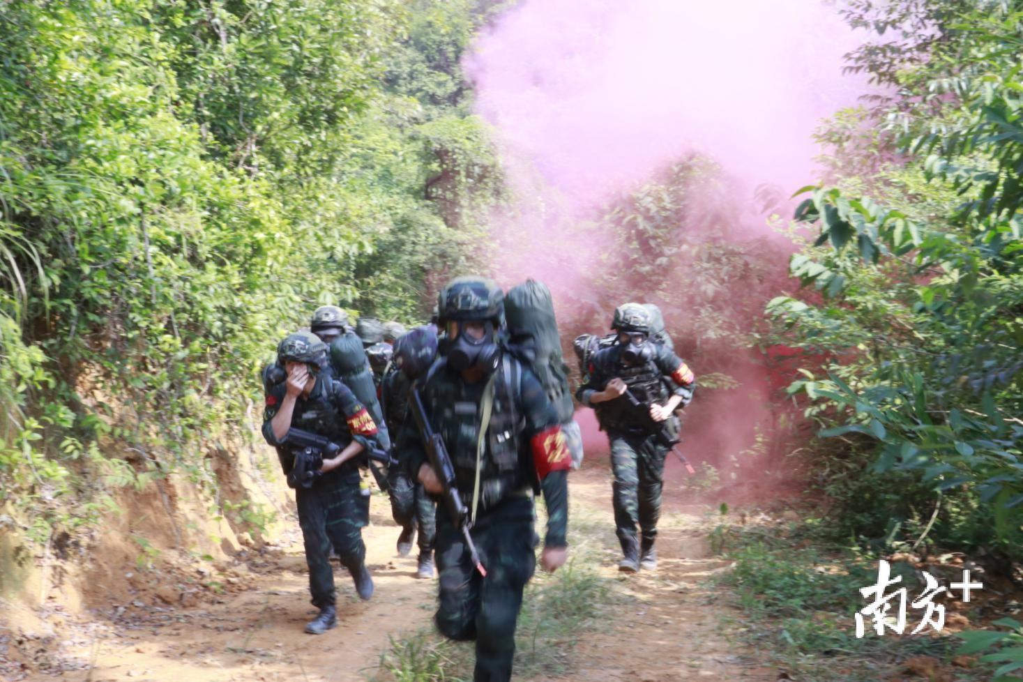 东莞武警总队训练基地图片