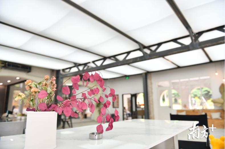 进驻“陶古里”的陶联社把旧厂房改造成为“网红空间”。南方+记者 戴嘉信 摄 进驻“陶古里”的陶联社把旧厂房改造成为“网红空间”。南方+记者 戴嘉信 摄