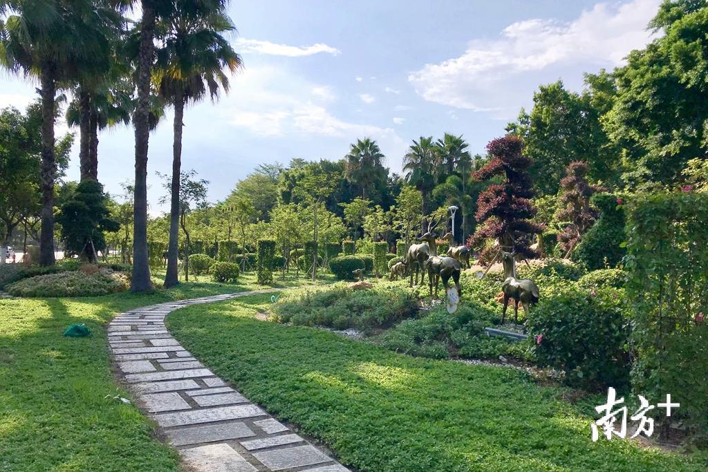 “汕头绿”是汕头打造高颜值生态花园之城的一张名片。 “汕头绿”是汕头打造高颜值生态花园之城的一张名片。